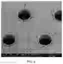 Fig. 06 - Polymer microfilters, devices comprising the same, methods of manufacturing the same, and uses thereof