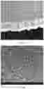 Fig. 07 - Polymer microfilters, devices comprising the same, methods of manufacturing the same, and uses thereof