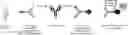 Fig. 01 - INTERFERENCE-SUPPRESSED PHARMACOKINETIC IMMUNOASSAY