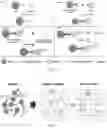 Fig. 02 - QUANTIFICATION, ISOLATION, AND CHARACTERIZATION OF EXOSOMES USING DROPLET-BASED AND WELL-BASED MICROFLUIDIC SYSTEMS