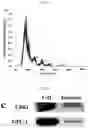 Fig. 07 - QUANTIFICATION, ISOLATION, AND CHARACTERIZATION OF EXOSOMES USING DROPLET-BASED AND WELL-BASED MICROFLUIDIC SYSTEMS