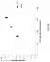 Fig. 09 - SIZE-BASED PARTICLE SEPARATION AND CONCENTRATION USING PARTICLE SIZE AMPLIFICATION