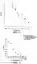 Fig. 08 - ASSAYS FOR ANTIMICROBIAL ACTIVITY AND APPLICATIONS THEREOF