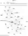 Fig. 32 - HSP90 COMBINATION THERAPY