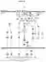 Fig. 49 - HSP90 COMBINATION THERAPY