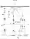Fig. 50 - HSP90 COMBINATION THERAPY