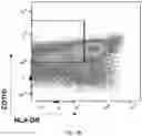 Fig. 09 - COMPOSITION FOR DIAGNOSING BONE METASTASIS OF CANCER AND METHOD FOR DIAGNOSING BONE METASTASIS OF CANCER USING SAME