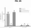 Fig. 05 - DETECTION OF BCL-2 FAMILY HETERODIMER COMPLEXES AND USE THEREOF