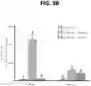 Fig. 06 - DETECTION OF BCL-2 FAMILY HETERODIMER COMPLEXES AND USE THEREOF