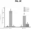 Fig. 07 - DETECTION OF BCL-2 FAMILY HETERODIMER COMPLEXES AND USE THEREOF