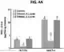 Fig. 08 - DETECTION OF BCL-2 FAMILY HETERODIMER COMPLEXES AND USE THEREOF