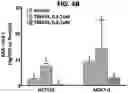 Fig. 09 - DETECTION OF BCL-2 FAMILY HETERODIMER COMPLEXES AND USE THEREOF
