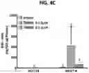 Fig. 10 - DETECTION OF BCL-2 FAMILY HETERODIMER COMPLEXES AND USE THEREOF