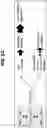 Fig. 12 - DETECTION OF BCL-2 FAMILY HETERODIMER COMPLEXES AND USE THEREOF