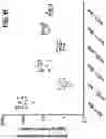 Fig. 19 - DETECTION OF BCL-2 FAMILY HETERODIMER COMPLEXES AND USE THEREOF