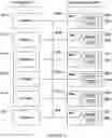 Fig. 06 - PEPTIDE ARRAY QUALITY CONTROL