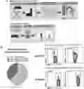 Fig. 01 - PREDICTING T CELL EPITOPES USEFUL FOR VACCINATION