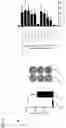Fig. 06 - PREDICTING T CELL EPITOPES USEFUL FOR VACCINATION