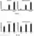 Fig. 03 - METHOD FOR DETECTING HOST CELL PROTEINS IN THERAPEUTIC ANTIBODIES BY COMBINING TRYPSIN DIGESTION, CHROMATOGRAPHY GRADIENTS, AND BOXCAR MASS SPECTROMETRY