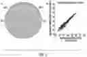 Fig. 08 - METHOD FOR DETECTING HOST CELL PROTEINS IN THERAPEUTIC ANTIBODIES BY COMBINING TRYPSIN DIGESTION, CHROMATOGRAPHY GRADIENTS, AND BOXCAR MASS SPECTROMETRY
