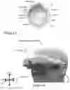 Fig. 02 - Language element vision augmentation methods and devices