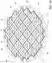Fig. 19 - OPTIMIZED NUCLEAR FUEL CORE DESIGN FOR A SMALL MODULAR REACTOR