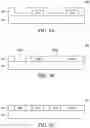 Fig. 07 - Interconnect structure in semiconductor device and method of forming the same