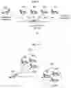 Fig. 08 - Groupcast transmission method and apparatus therefor