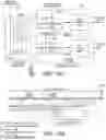 Fig. 13 - Methods and apparatus for decoding received uplink transmissions