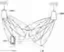 Fig. 01 - Base station, terminal apparatus, communication method and recording medium