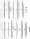 Fig. 06 - Random access in a wireless communication system