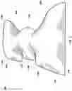 Fig. 02 - THERAPEUTIC SIDE AND BACK SLEEP POSITION PILLOW
