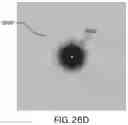 Fig. 28 - Apparatus, devices and methods for obtaining omnidirectional viewing by a catheter