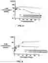 Fig. 08 - MULTI-ARM POLYMER PRODRUGS