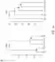 Fig. 02 - CRISPR-BASED METHODS AND NOVEL COMPOSITIONS FOR TREATING VASCULAR DISORDERS