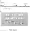 Fig. 45 - CRISPR-BASED METHODS AND NOVEL COMPOSITIONS FOR TREATING VASCULAR DISORDERS