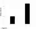 Fig. 06 - AQUEOUS COMPOSITION FOR LIVESTOCK ANIMALS