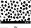 Fig. 03 - NANOPARTICLES AND PREPARATION METHOD