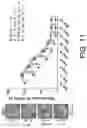 Fig. 16 - B CELL IMMUNOTHERAPY