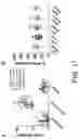 Fig. 21 - B CELL IMMUNOTHERAPY