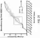 Fig. 29 - B CELL IMMUNOTHERAPY
