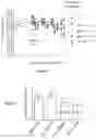 Fig. 05 - VITAMIN E AND CANCER THERAPEUTIC COMPOSITIONS AND METHODS