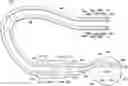 Fig. 01 - APPARATUS AND METHOD FOR INCORPORATION OF OPTICAL SENSING INTO NEUROSTIMULATION SYSTEMS