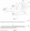Fig. 12 - THERAPEUTIC APPARATUS AND CONTROL METHOD THEREOF
