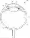 Fig. 01 - OPHTHALMIC ILLUMINATION DEVICE