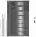 Fig. 06 - Long-term fire retardant with corrosion inhibitors and methods for making and using same