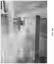 Fig. 10 - Long-term fire retardant with corrosion inhibitors and methods for making and using same