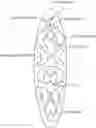 Fig. 01 - OBJECTS AND METHODS FOR BUILDING SMALL MUSCLE FIBERS AND NERVES USING FLUID DISPOSED IN THE OBJECTS