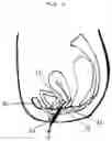 Fig. 02 - Device for exercising the pelvic floor muscles