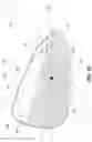 Fig. 17 - Golf club head with lattices